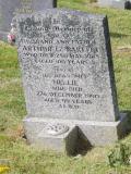 image of grave number 909000